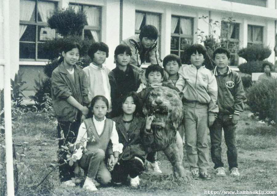 ��ſ� �ð� �Ǽ���