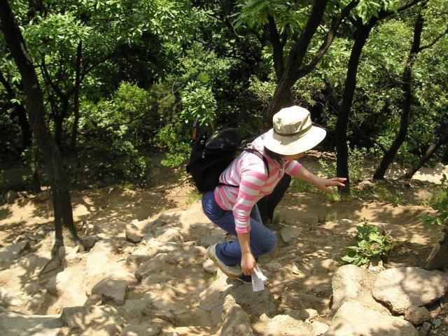 ��ſ� �ð� �Ǽ���