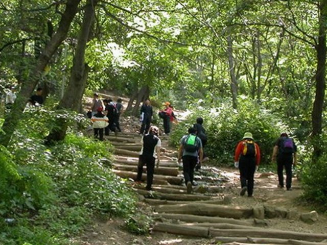 ��ſ� �ð� �Ǽ���