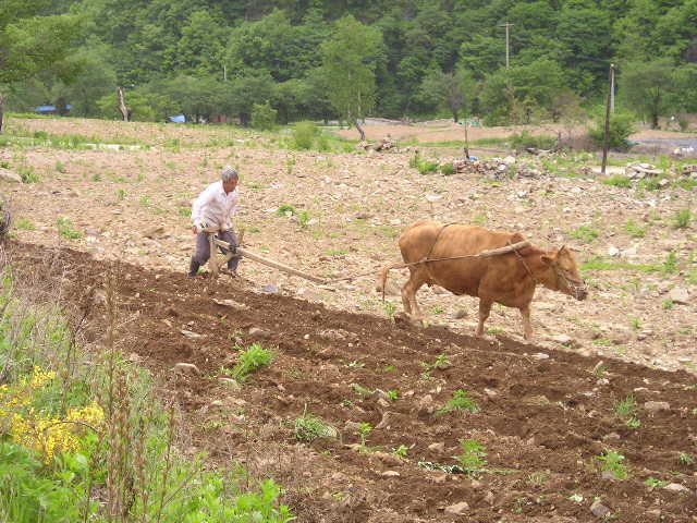 ��ſ� �ð� �Ǽ���