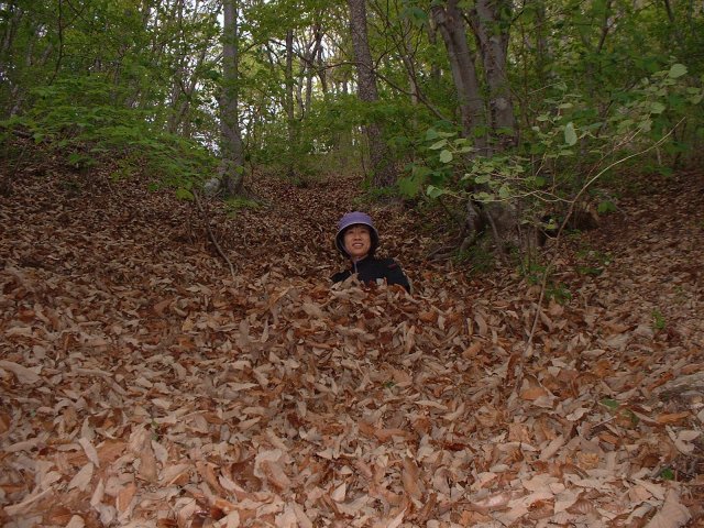 ��ſ� �ð� �Ǽ���