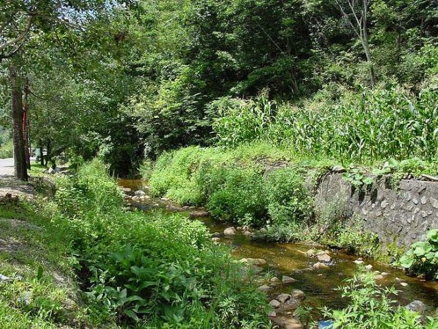 ��ſ� �ð� �Ǽ���