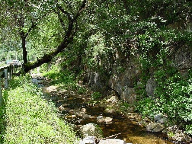 ��ſ� �ð� �Ǽ���