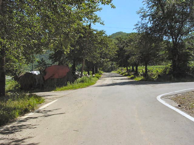 ��ſ� �ð� �Ǽ���