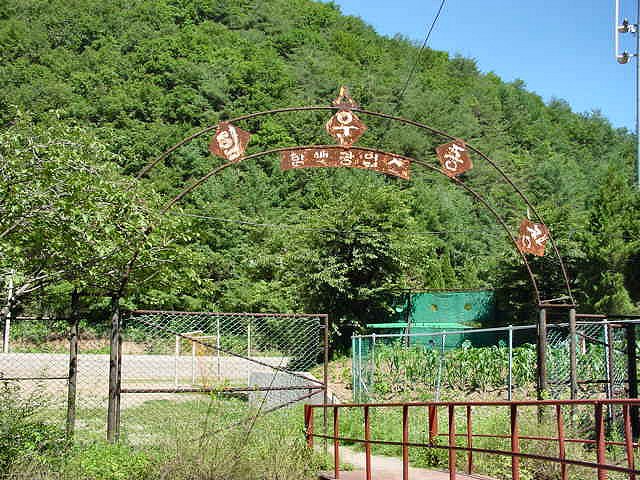 ��ſ� �ð� �Ǽ���