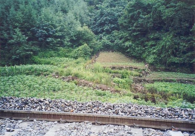 ��ſ� �ð� �Ǽ���