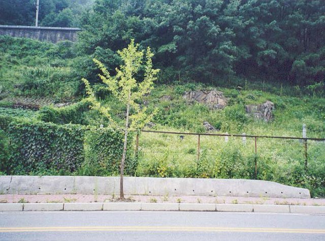 ��ſ� �ð� �Ǽ���