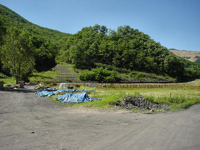 ��ſ� �ð� �Ǽ���