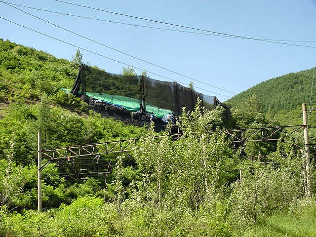 ��ſ� �ð� �Ǽ���