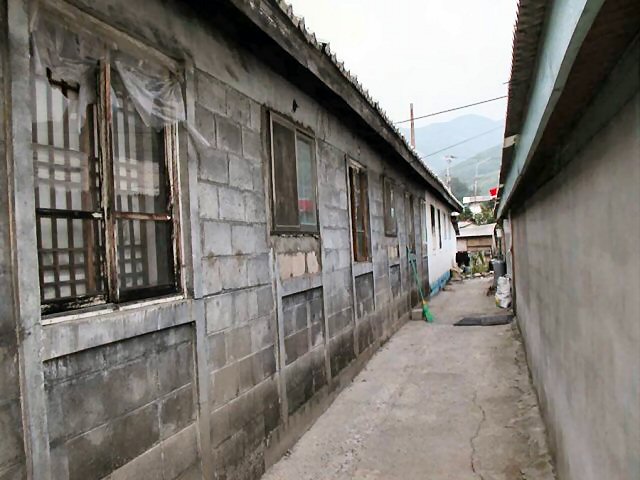 ��ſ� �ð� �Ǽ���