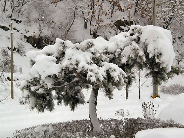 ��ſ� �ð� �Ǽ���