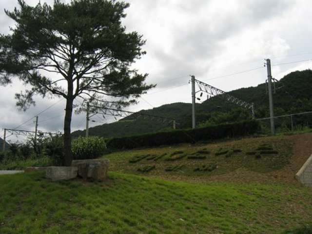 ��ſ� �ð� �Ǽ���