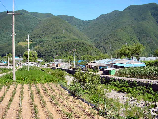 ��ſ� �ð� �Ǽ���