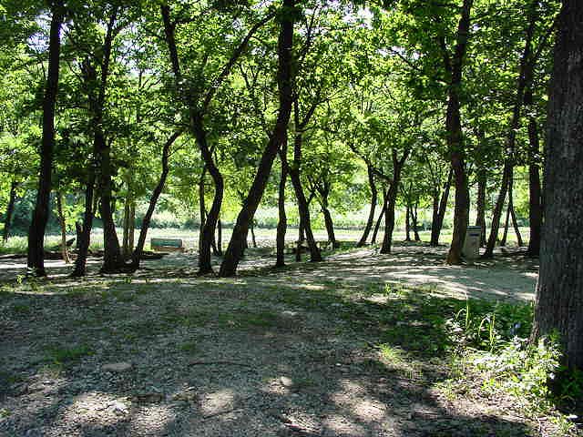 ��ſ� �ð� �Ǽ���