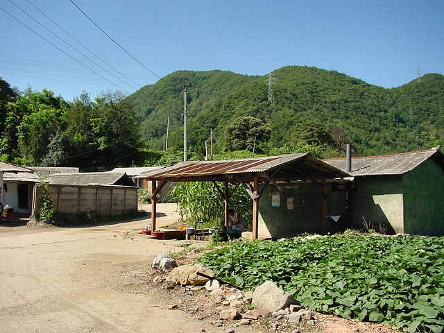 ��ſ� �ð� �Ǽ���