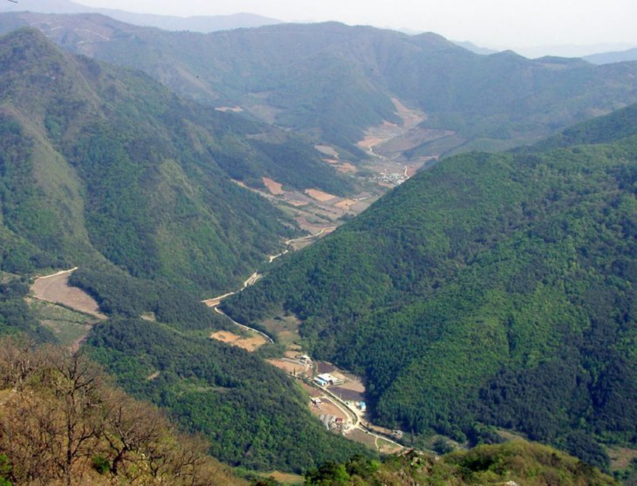 ��ſ� �ð� �Ǽ���