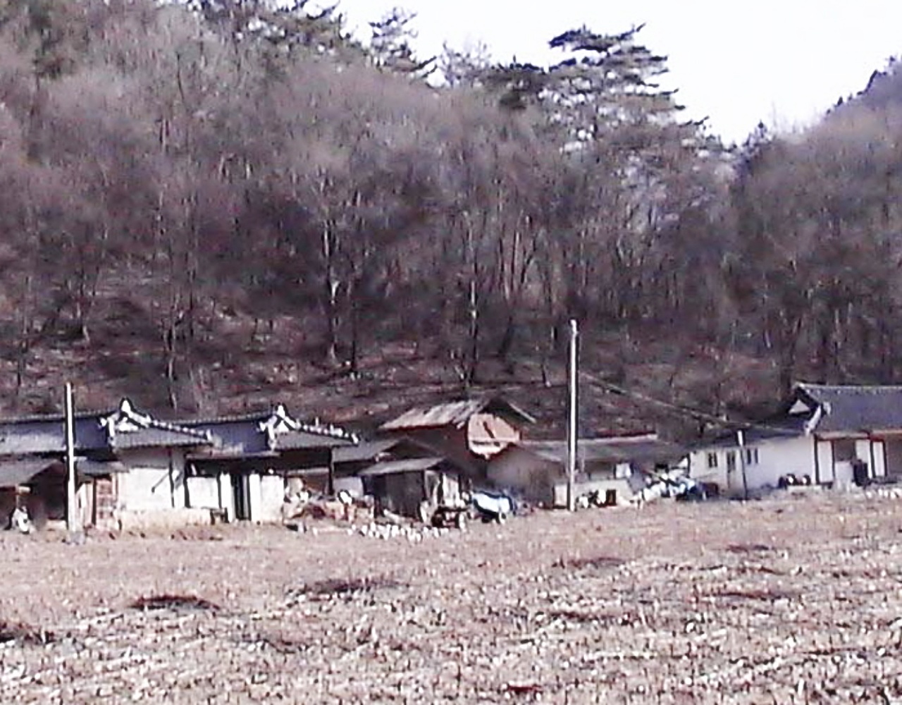 ��ſ� �ð� �Ǽ���