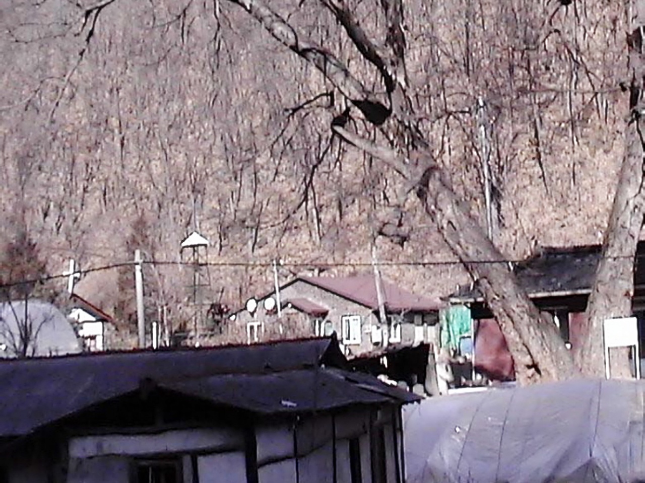 ��ſ� �ð� �Ǽ���