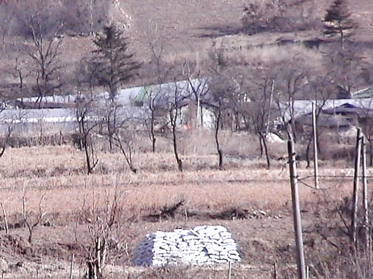 ��ſ� �ð� �Ǽ���