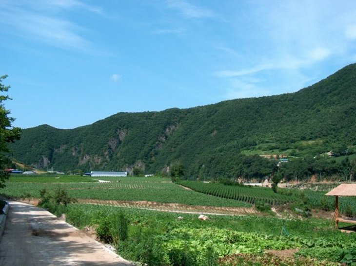 ��ſ� �ð� �Ǽ���