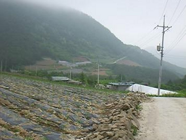 ��ſ� �ð� �Ǽ���