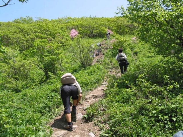 ��ſ� �ð� �Ǽ���