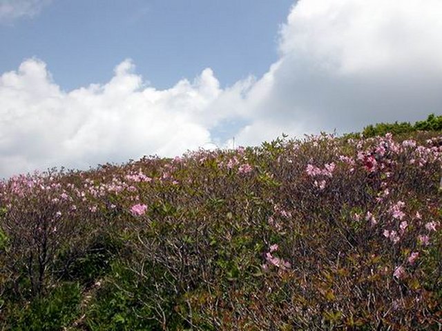 ��ſ� �ð� �Ǽ���