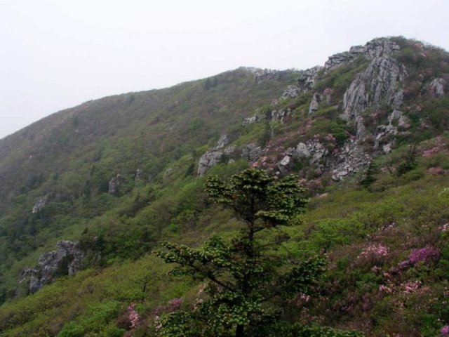 ��ſ� �ð� �Ǽ���