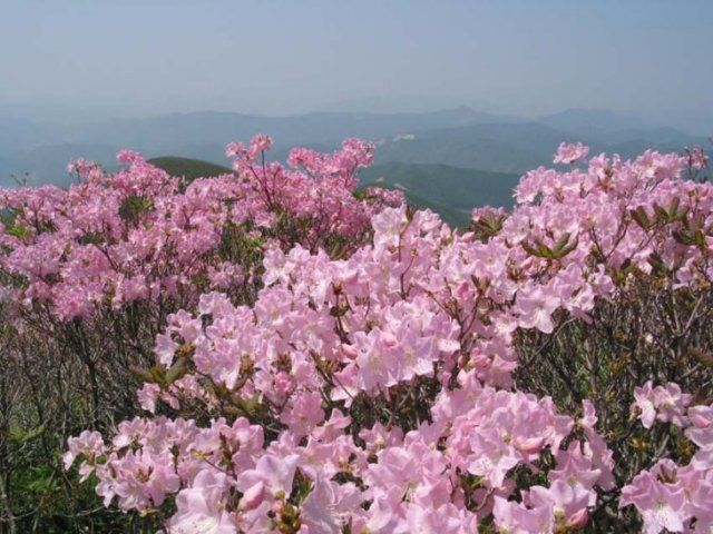 ��ſ� �ð� �Ǽ���