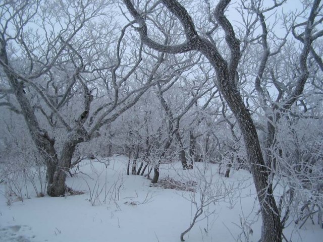 ��ſ� �ð� �Ǽ���