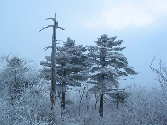 ��ſ� �ð� �Ǽ���