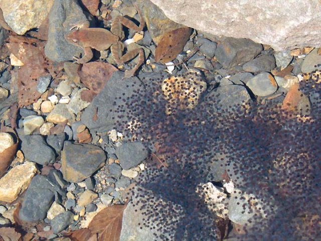 ��ſ� �ð� �Ǽ���