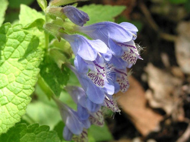 ��ſ� �ð� �Ǽ���