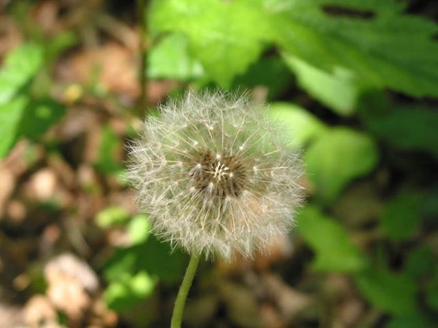 ��ſ� �ð� �Ǽ���