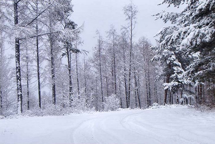 ��ſ� �ð� �Ǽ���