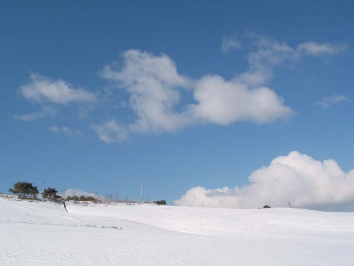 ��ſ� �ð� �Ǽ���