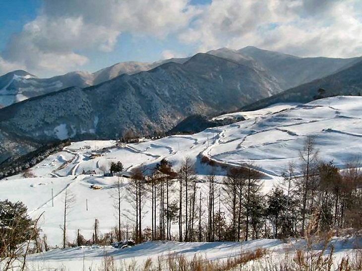 ��ſ� �ð� �Ǽ���