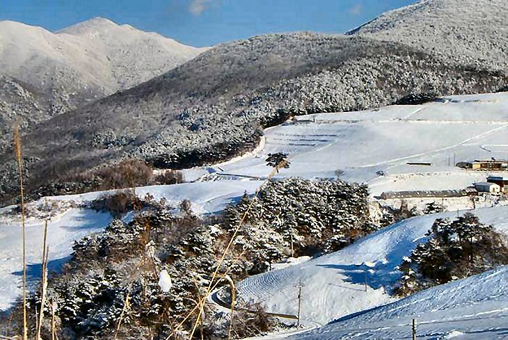 ��ſ� �ð� �Ǽ���