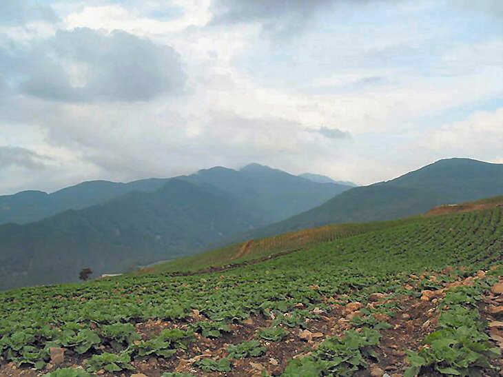 ��ſ� �ð� �Ǽ���