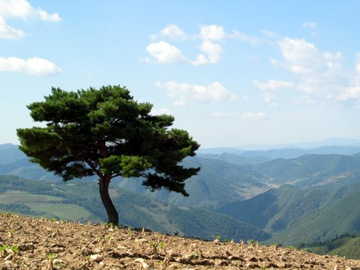 ��ſ� �ð� �Ǽ���