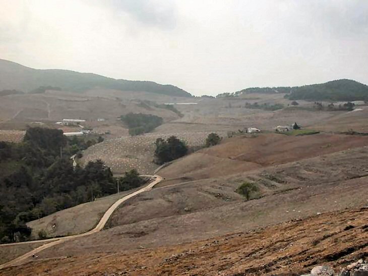 ��ſ� �ð� �Ǽ���