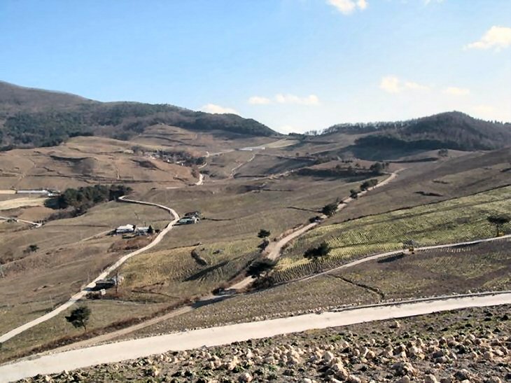 ��ſ� �ð� �Ǽ���