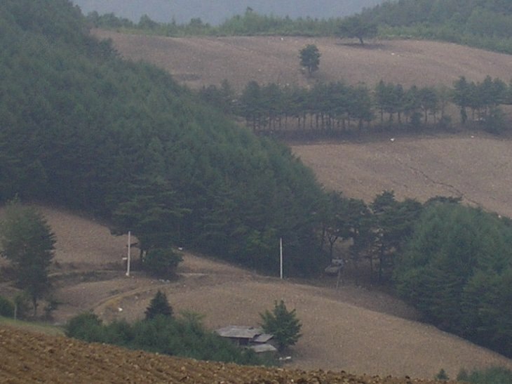 ��ſ� �ð� �Ǽ���