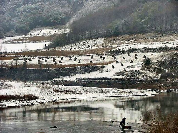 ��ſ� �ð� �Ǽ���