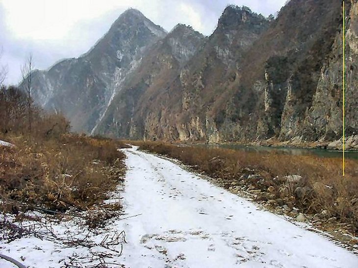 ��ſ� �ð� �Ǽ���