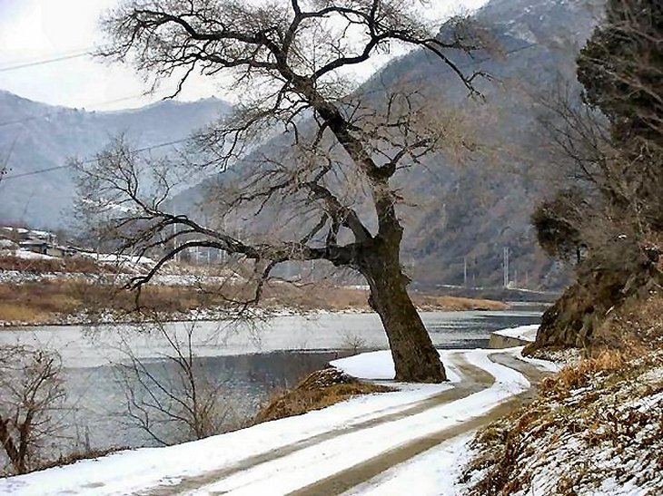 ��ſ� �ð� �Ǽ���