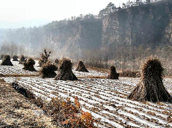 ��ſ� �ð� �Ǽ���