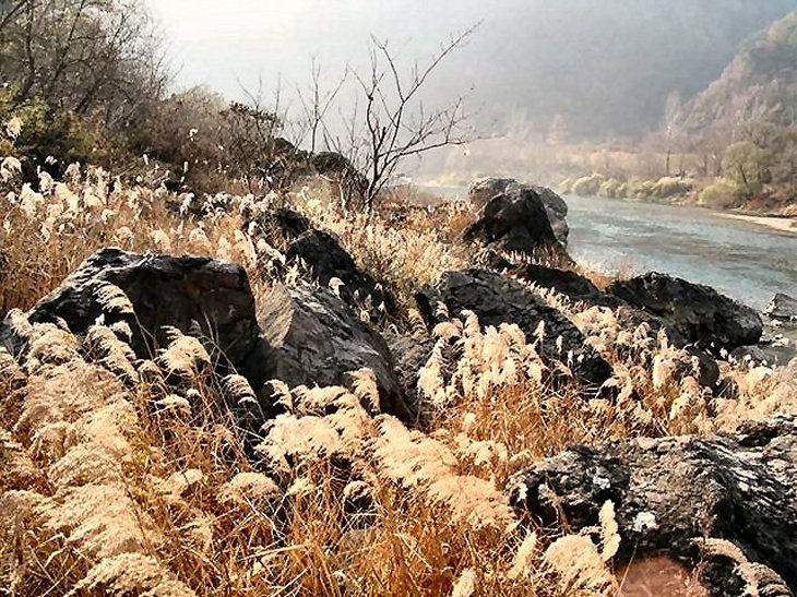 ��ſ� �ð� �Ǽ���