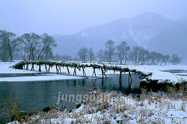 ��ſ� �ð� �Ǽ���