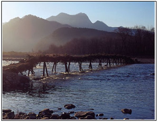 ��ſ� �ð� �Ǽ���